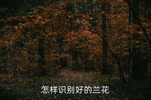 夏兰怎么拆分，求助兰花分盆时如何分株