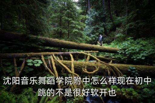 沈阳音乐舞蹈学院附中怎么样现在初中跳的不是很好软开也