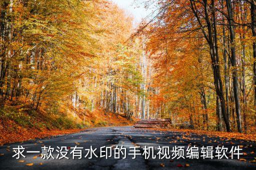 求一款没有水印的手机视频编辑软件