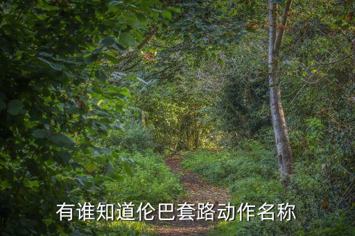 有谁知道伦巴套路动作名称
