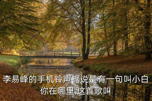李易峰的手机铃声据说是有一句叫小白你在哪里 这首歌叫