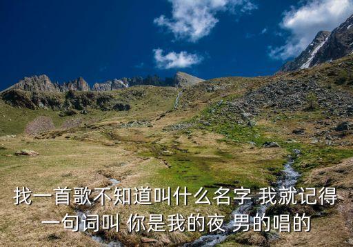 找一首歌不知道叫什么名字 我就记得一句词叫 你是我的夜 男的唱的