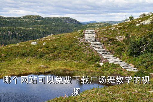 哪个网站可以免费下载广场舞教学的视频