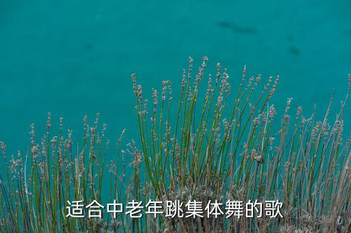 适合中老年跳集体舞的歌