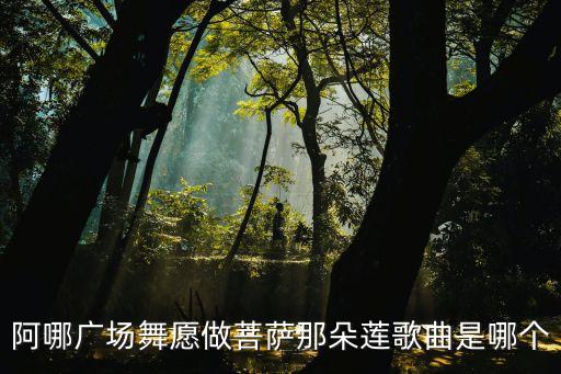 阿哪广场舞愿做菩萨那朵莲歌曲是哪个