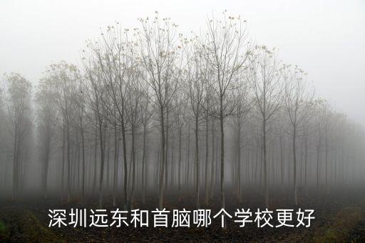 深圳远东和首脑哪个学校更好