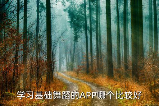 学习基础舞蹈的APP哪个比较好