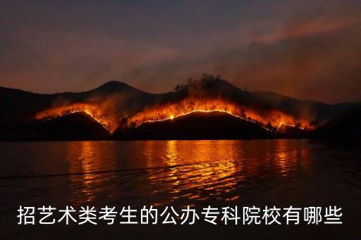 招艺术类考生的公办专科院校有哪些