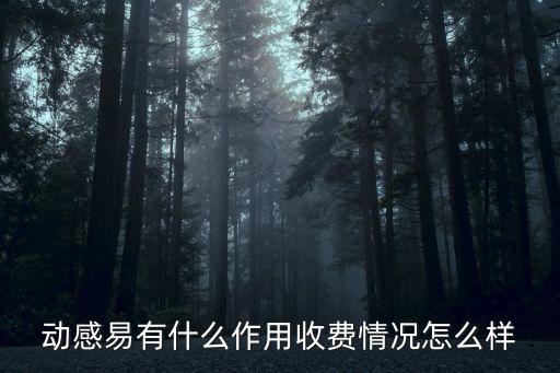 动感易有什么作用收费情况怎么样