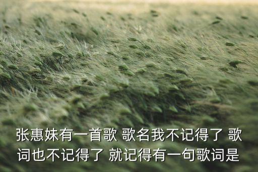张惠妹有一首歌 歌名我不记得了 歌词也不记得了 就记得有一句歌词是