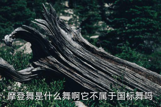 摩登舞是什么舞啊它不属于国标舞吗