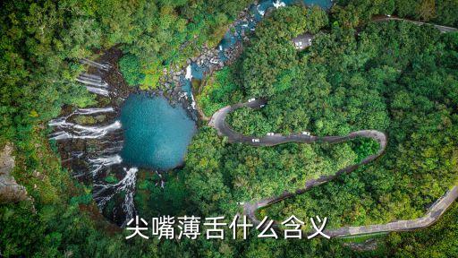 尖嘴薄舌什么含义
