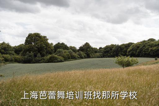 上海芭蕾舞培训班找那所学校