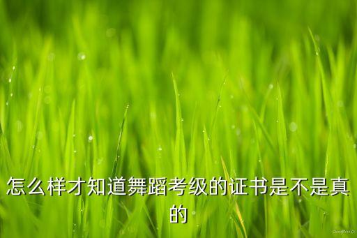 舞蹈考级怎么才能知道是优还是良，中国舞蹈考级家协会考级优良怎么查
