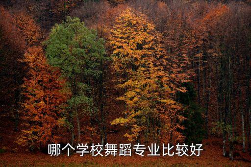 初中毕业想学舞蹈去哪个学校好，请问您一下有哪些舞蹈学院会收初中毕业生的