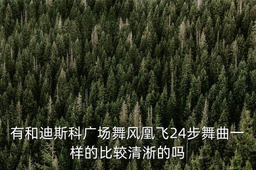 有和迪斯科广场舞风凰飞24步舞曲一样的比较清淅的吗