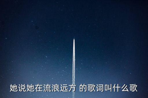 她说她在流浪远方 的歌词叫什么歌