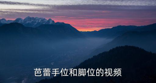 芭蕾舞动作图解视频，芭蕾手位和脚位的视频