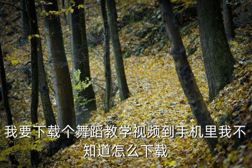艺美舞蹈教学视频怎么下载，舞蹈视频怎样才能下载到手机上