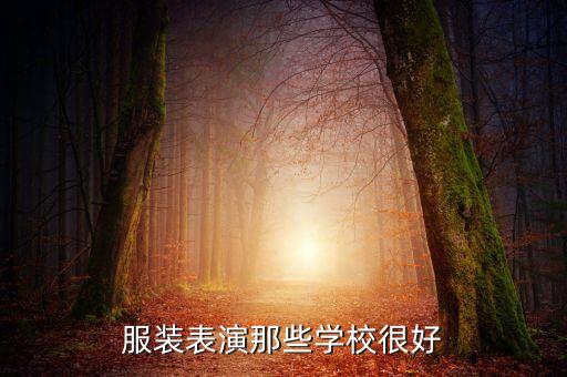 服装表演那些学校很好