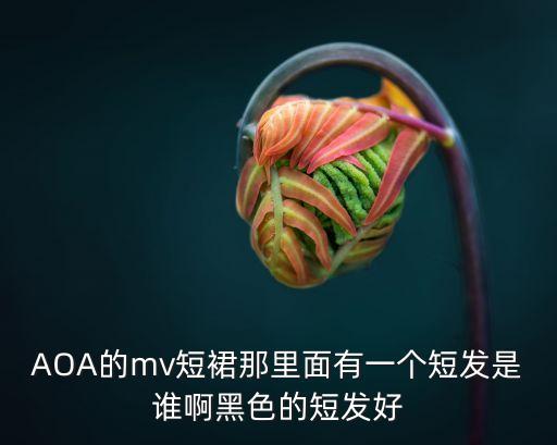 AOA的mv短裙那里面有一个短发是谁啊黑色的短发好