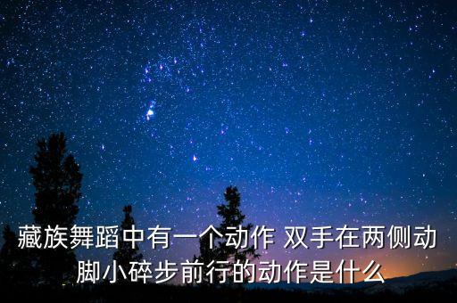藏族舞蹈中有一个动作 双手在两侧动 脚小碎步前行的动作是什么