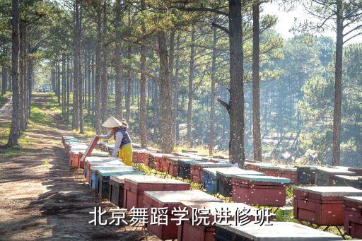 北京舞蹈学院进修班