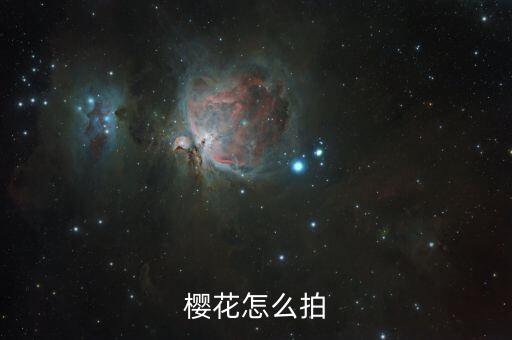 樱花中怎么摆姿势，杉树下怎么摆姿势拍照好看