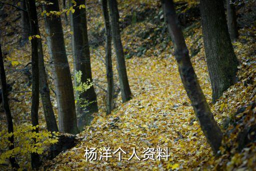 杨洋个人资料
