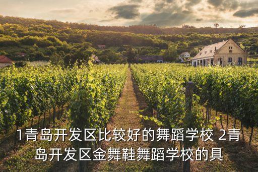 1青岛开发区比较好的舞蹈学校 2青岛开发区金舞鞋舞蹈学校的具