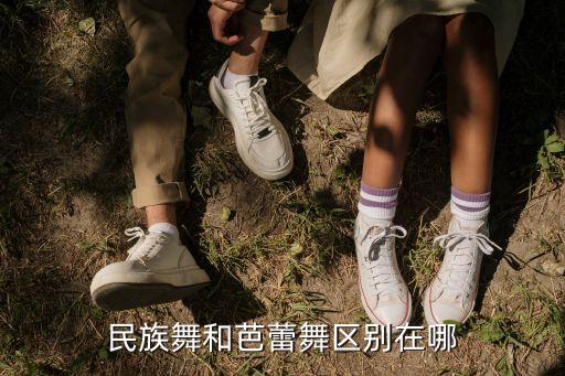 民族舞和芭蕾舞区别在哪