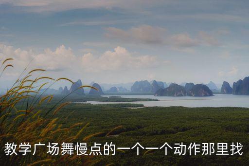 新手学广场舞视频教程，谁有广场舞清晰教学视频