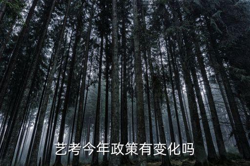 艺考今年政策有变化吗