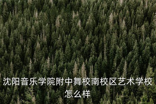 沈阳音乐附属中等舞蹈学院，沈阳音乐舞蹈学院附中怎么样现在初中跳的不是很好软开也