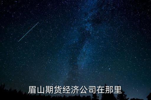 眉山期货经济公司在那里