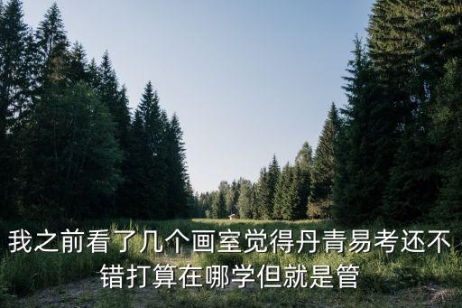 我之前看了几个画室觉得丹青易考还不错打算在哪学但就是管