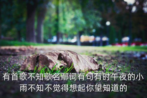 你是午夜的小雨什么歌，有首歌不知歌名鄢词有句有时午夜的小雨不知不觉得想起你望知道的