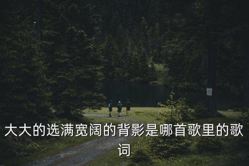 大大的选满宽阔的背影是哪首歌里的歌词