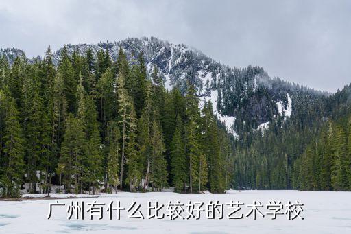 广州有什么比较好的艺术学校
