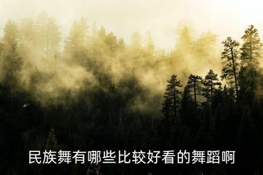 民族舞有哪些比较好看的舞蹈啊
