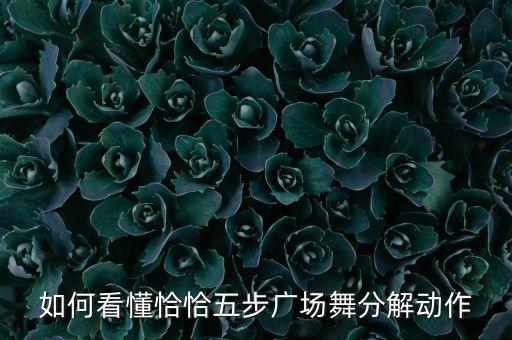 如何看懂恰恰五步广场舞分解动作