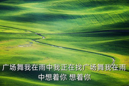 广场舞想你有什么用，我的快乐就是想你爱情把头广场舞