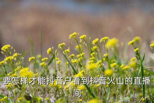 抖音火山版看直播，绑一个手机号用火山版能看抖音上的主播直播吗