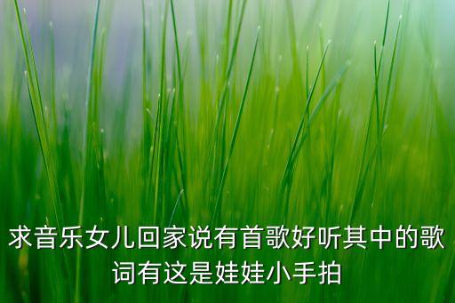 求音乐女儿回家说有首歌好听其中的歌词有这是娃娃小手拍