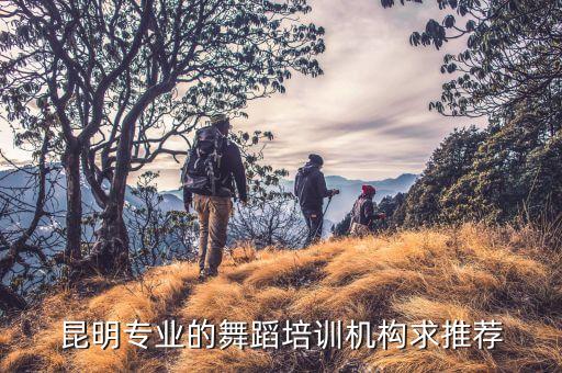 舞蹈培训学校咨询，舞蹈培训到底去哪里比较好