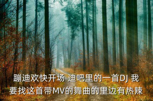 快乐蹦迪是什么舞曲，高密茶楼里蹦迪经常用的那个舞曲是什么