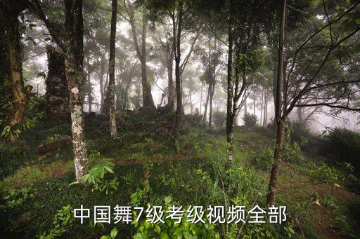 中国舞7级考级视频全部