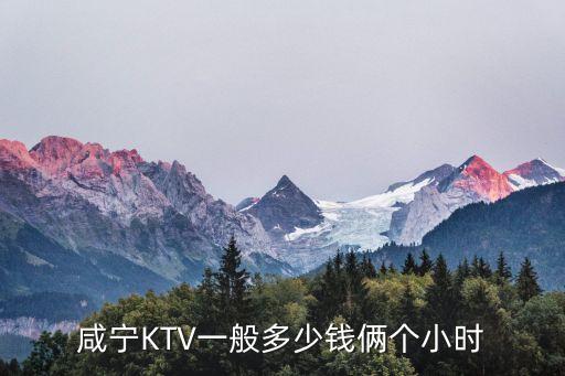 咸宁KTV一般多少钱俩个小时