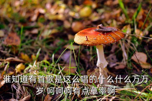 谁知道有首歌是这么唱的什么什么万万岁 呵呵呵有点草率啊