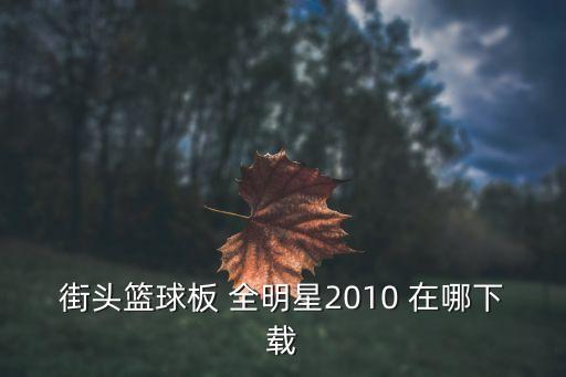 全明星街球派对国际服下载，街头篮球板 全明星2010 在哪下载